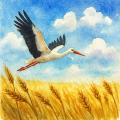 Royalty Free Music – The Lingering Taste of Freedom