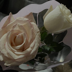 Senin İçin + mirach