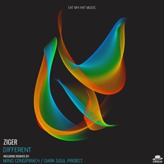 PREMIERE: Ziger - Different (Mind Conspiracy Remix) [Eat My Hat Music]
