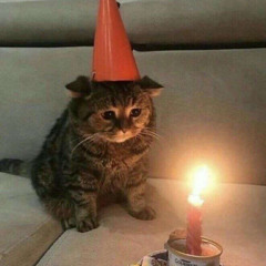 Ethan & Co - Pretty One