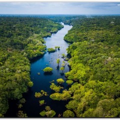 THE POWER OF NATURE