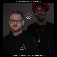 Podcast #10 / Spicy Flamingo b2b Diskonnected / Together We Are Strong
