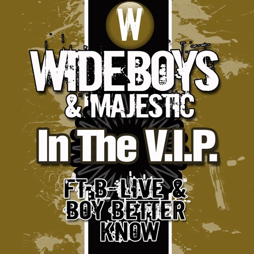 In the V.I.P. (Radio Edit)