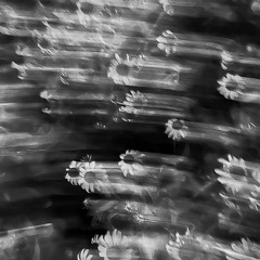 Alone Again - (Demo Mix)