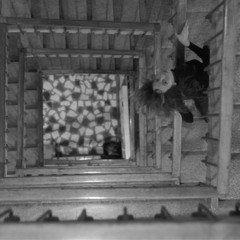 Conversation with artist Anja Dimitrijevic (May 2020, Sydney/Belgrade)