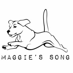 Maggie's Song | Chris Stapleton - Acoustic