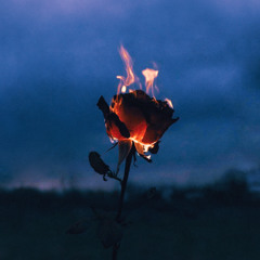 PREMIERE : GHEIST, 8Kays - Flowers & Guns (Club Mix)