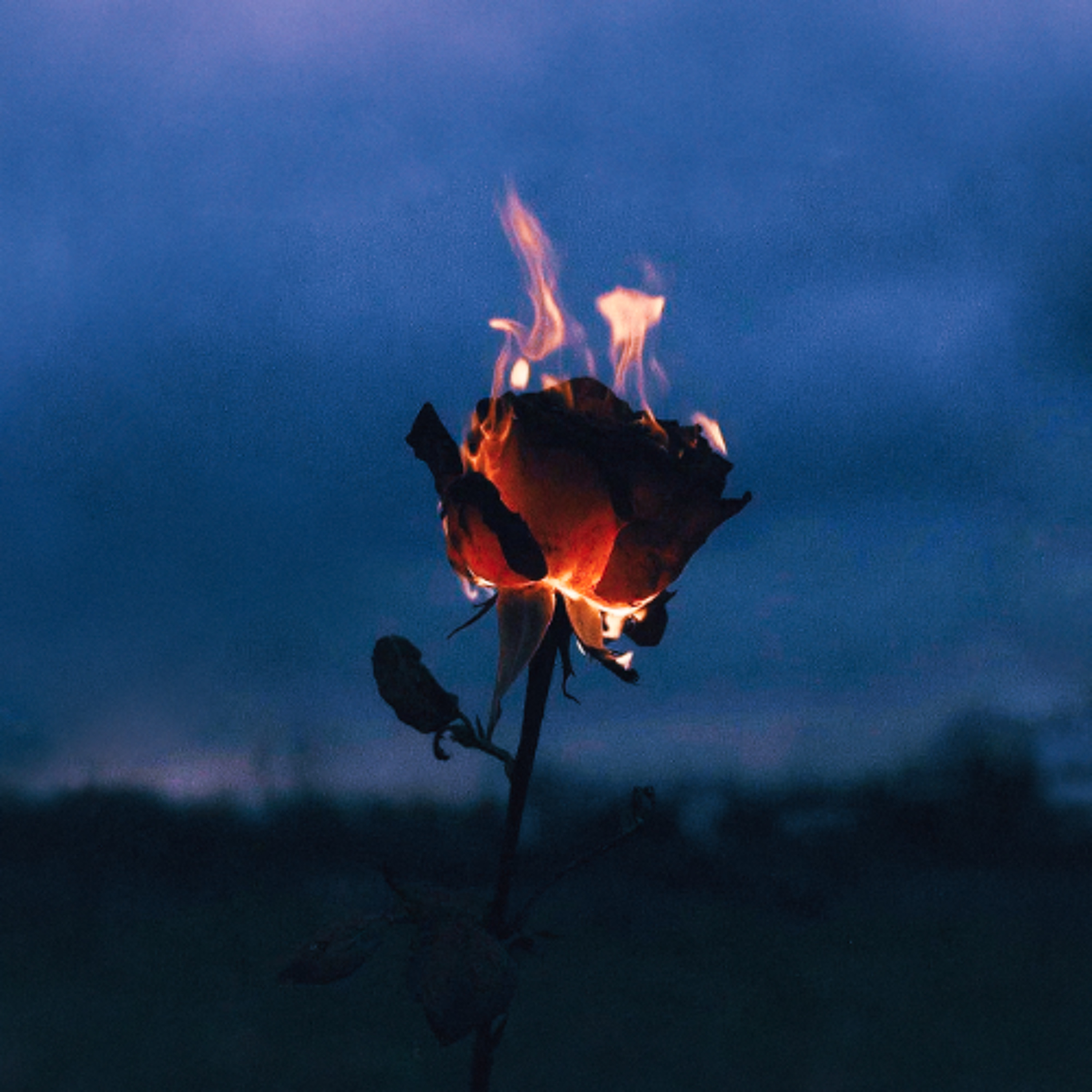 PREMIERE : GHEIST, 8Kays - Flowers & Guns (Club Mix) episode artwork