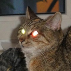 @1joshu, @372luca - La Noti (Piso 12) (Slowed)