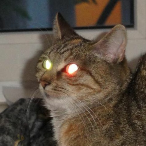 @1joshu, @372luca - La Noti (Piso 12) (Slowed)