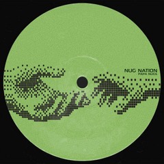 PREMIERE: 02 - Papa Nugs - Focus [NUGS006]