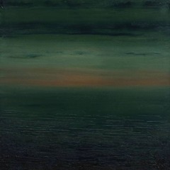 sleep apnea (72 toro version)