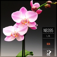 I_XL - Sea (Original Mix)