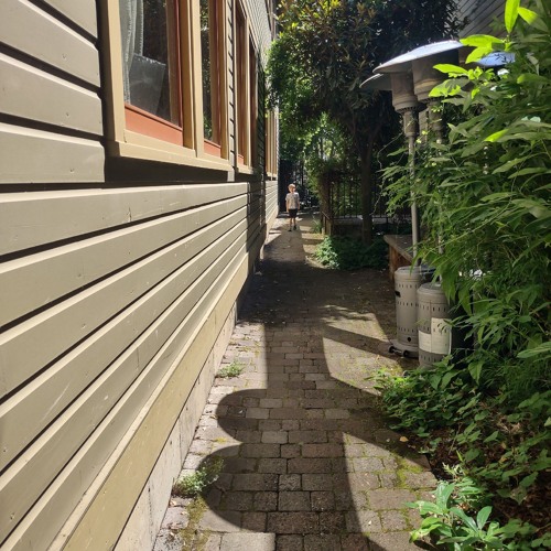 Blocks In The Garden (High Five-Bye Bye)