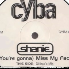 Shanie You're Gonna Miss My Face Dillinja Mix 320kbps