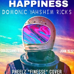 HAPPINESS cover/remix