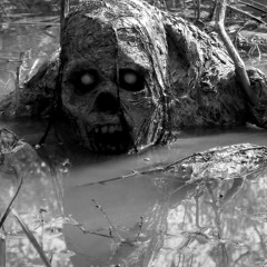 Swamp Dancer