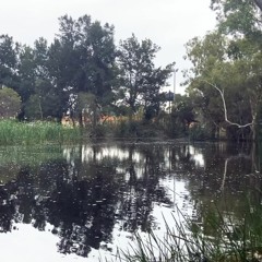 Do Nothing Day (Phineas & Ferb Cover)