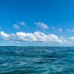 San Francisco Street - Végtelen Óceán