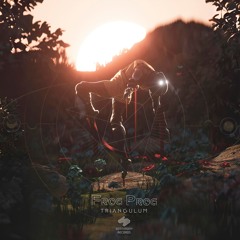 Frog Prog - Darknes & Light