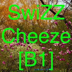 SwiZZ-Cheeze [B1-RuffDraft].aif
