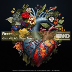 ReepR - Give You My Heart Mixes