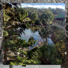 I Think About It All the Time