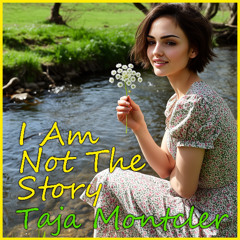 (I Am Not The Story)
