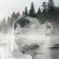 PERFECTION #28
