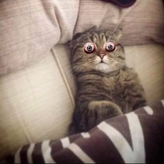 |K5|T.A|YMB|SWAGGA MUSIC|