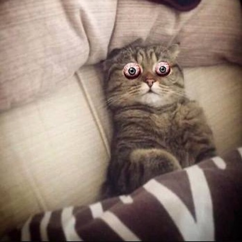 |K5|T.A|YMB|SWAGGA MUSIC|