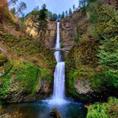 Review Special Price Multnomah Falls And Columbia River Gorge Half-Day Hiking Tour