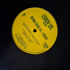 Sensory Delight - original mix