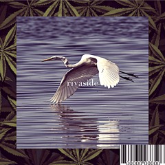 Rivaside