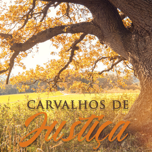 Carvalhos De Justiça