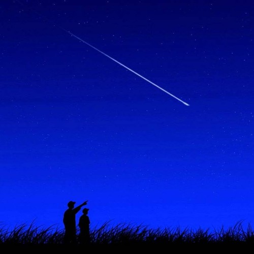 Peaceful Nights