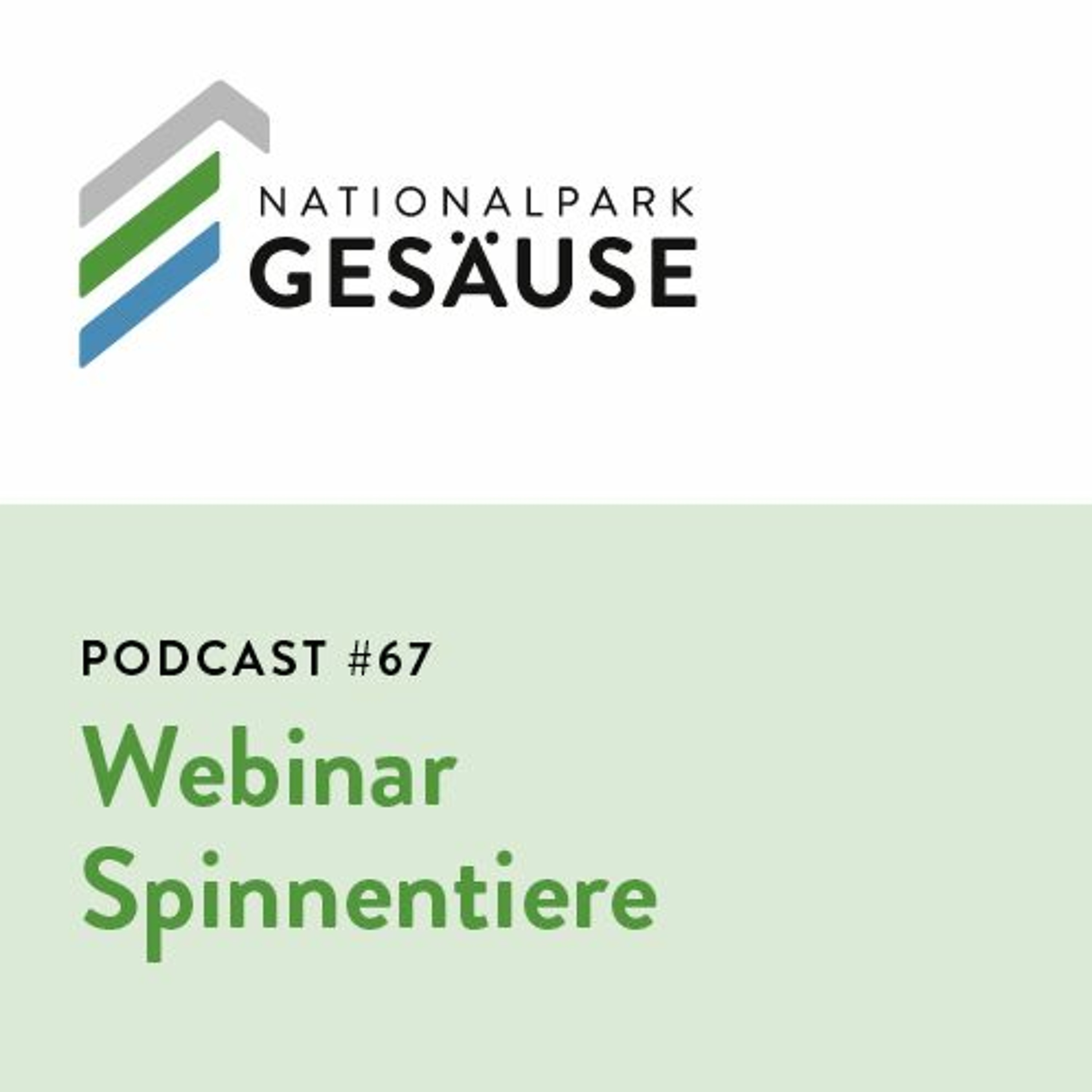 Podcast #67 - Webinar Spinnentiere episode artwork