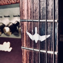 The Mocking Bird