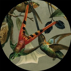 Ohrwurm