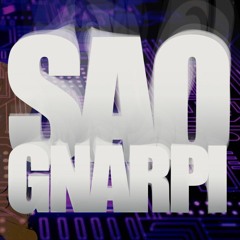 SAO - GNARPI ( Prod.Shyy )