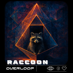 Raccoon
