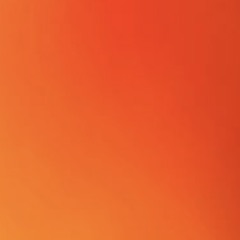 FLY