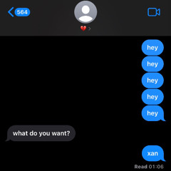 XAN (demo)