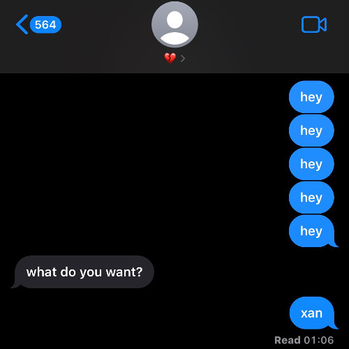 XAN (demo)