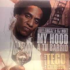 My Hood A Tu Barrio  Dj Joey Fingaz  & DJ Moet  MIXTAPE