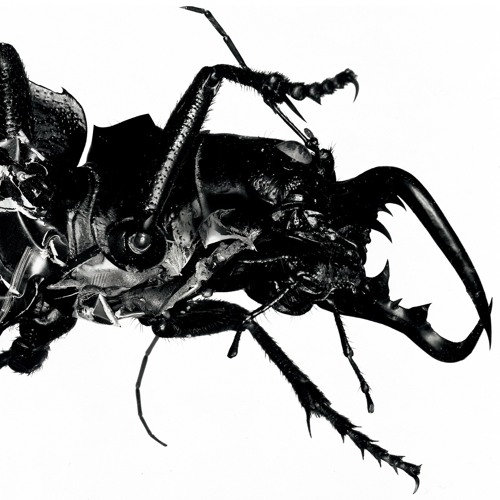 Teardrop (Massive Attack) "No Voice"