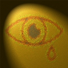 do you want to see me cry‽‽ (100gecs+agcook)