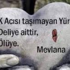 nah twin she got you blushin twşn you gotta lock up twin(mevlajerk2?)