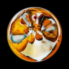 Onoychenko - November (Farwell Remix)