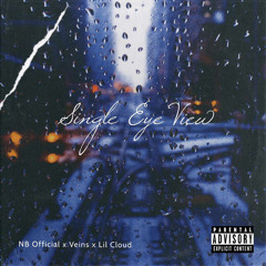 single eye view(feat.nb offical,lil cloud,veins!)